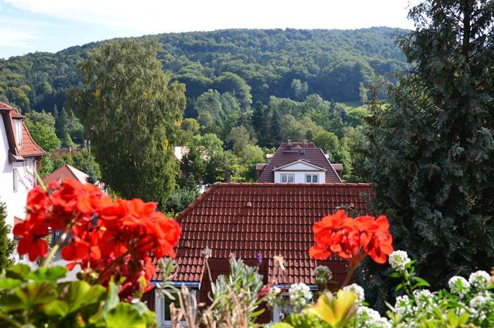 Villa Sonnenseite Jonsdorf Luaran gambar